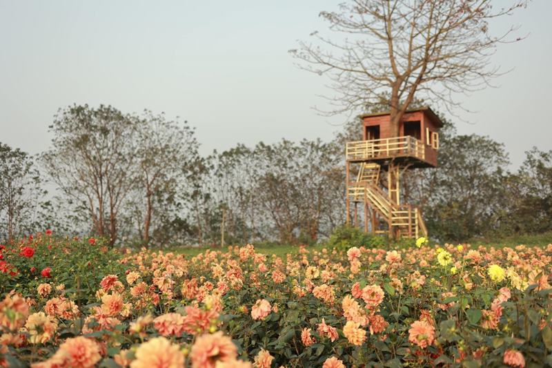 The Red River Stone Beach Flower Garden has many colorful flowers. Photo: Red River Stone Beach