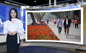 Bản tin dự báo thời tiết đêm nay và ngày mai 1.9