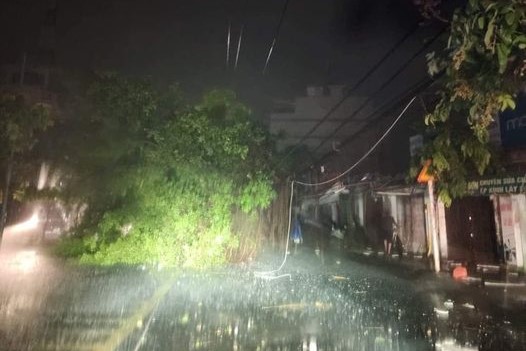 Fallen trees on Tran Phu Street caused power outages and traffic jams. Photo: NDCC