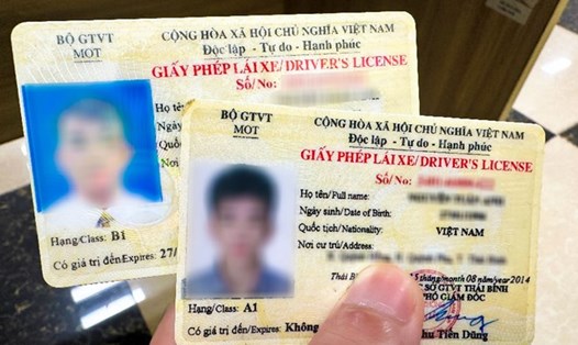 Giấy phép lái xe. Ảnh: Phương Anh