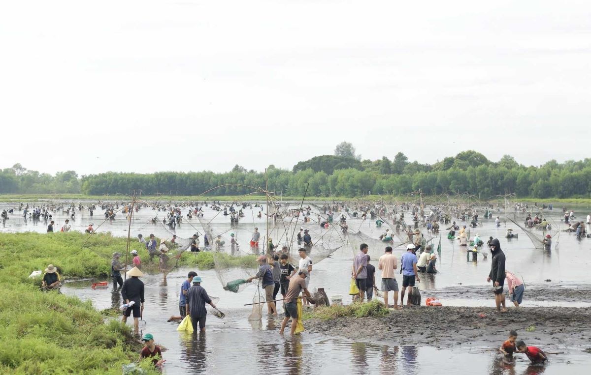 In addition to the concept of attending the Pha Tram festival to receive good fortune; improve meals for villagers; Pha Tram is also an opportunity to dredge, clean, and change the water so that the landscape in the lake is always clean. With many meanings, this festival has existed for about 300 years and is maintained until today.