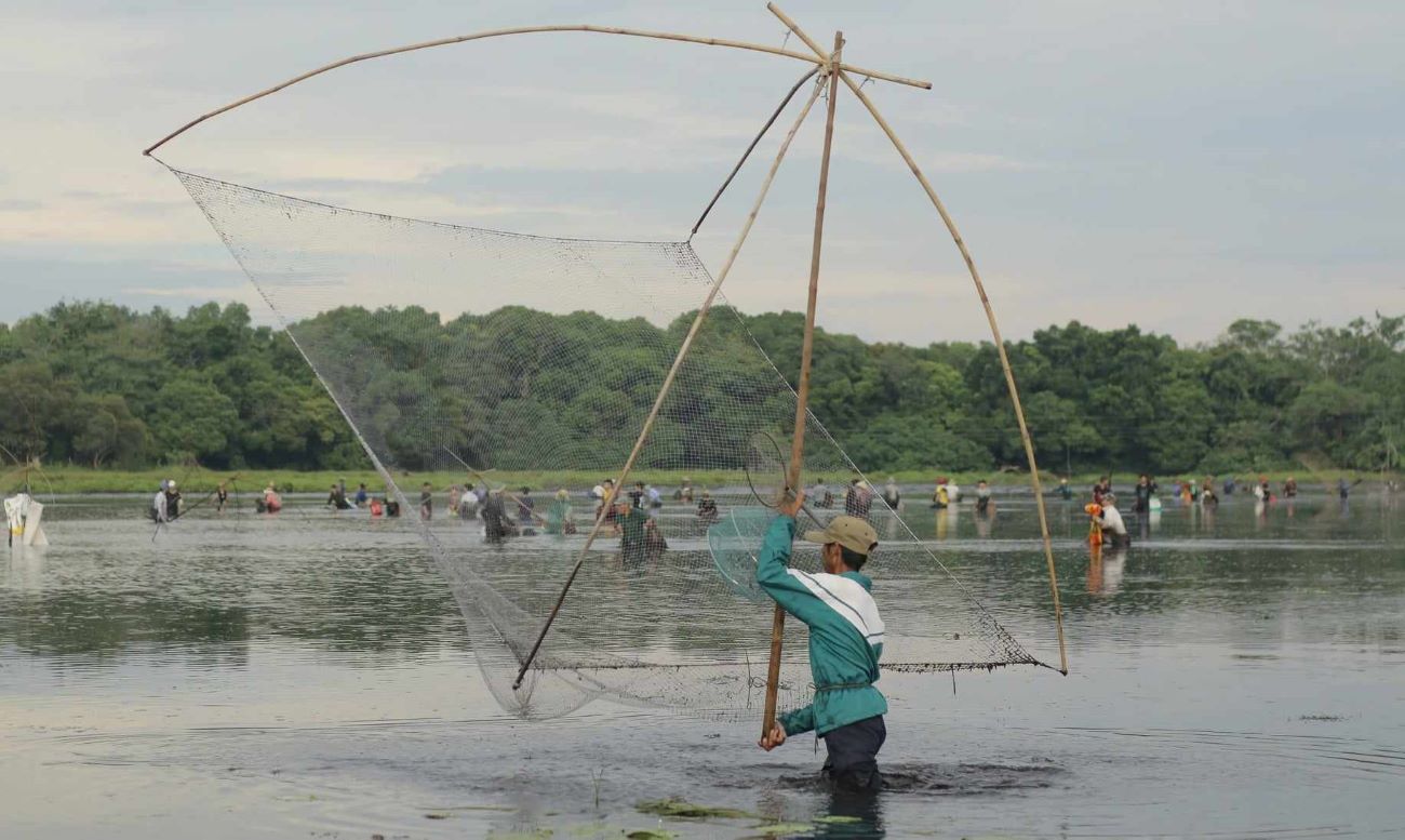 Before the festival, the water in the pond is drained. From early morning, after the drum beats to open the festival, people take prepared tools such as nets, nets, baskets, and trays and wade into the mud to catch fish.