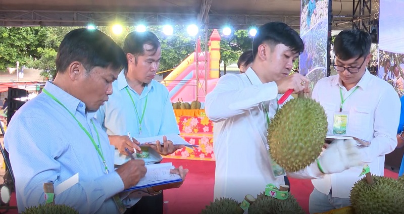 The organizers are very careful in scoring and evaluating the participating teams. Photo: Bao Trung