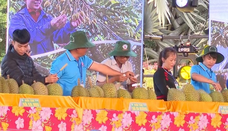 Các đội về tham dự Hội thi Nông dân sản xuất sầu riêng giỏi. Ảnh: Bảo Trung