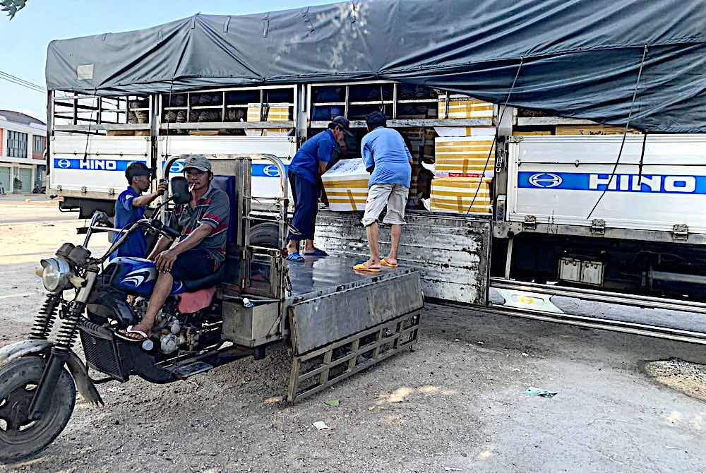 Daily loading and unloading work of union members. Photo: Tuy Phong Labor Union