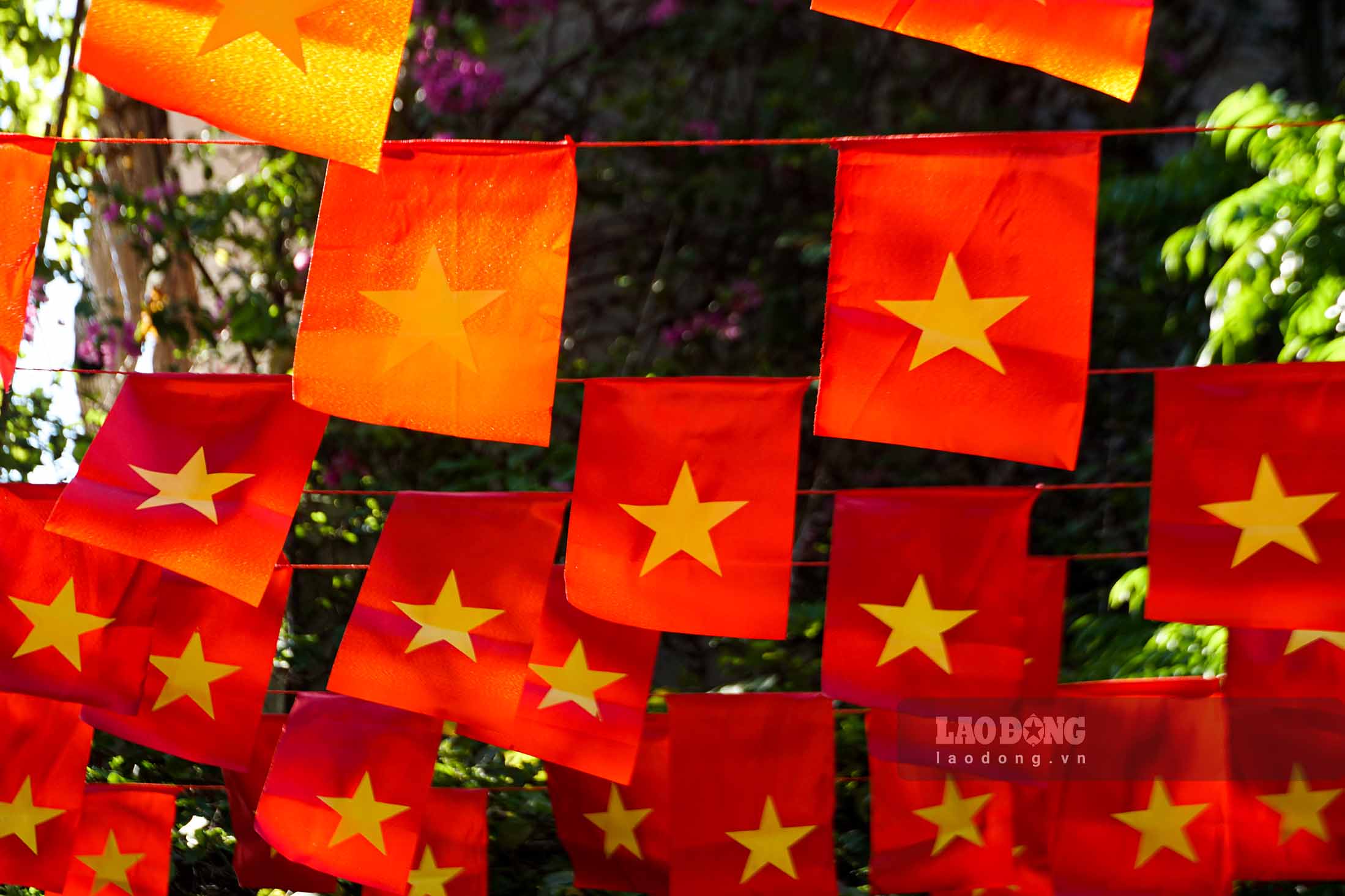 Every corner of Hanoi capital is hung with red flags with yellow stars by people.