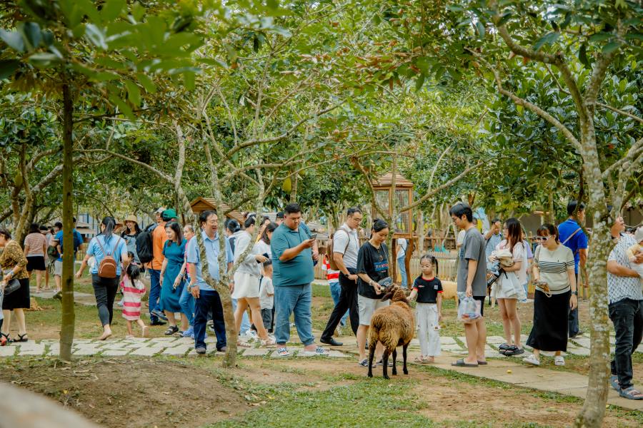 Mr. Lam Minh - General Manager of CanTho Eco Resort - informed that CanTho Eco Resort welcomed about 2,000 visitors to visit, experience and relax on the first day of the holiday. This is a good sign for this tourist destination to grow dramatically from now until the end of the year.