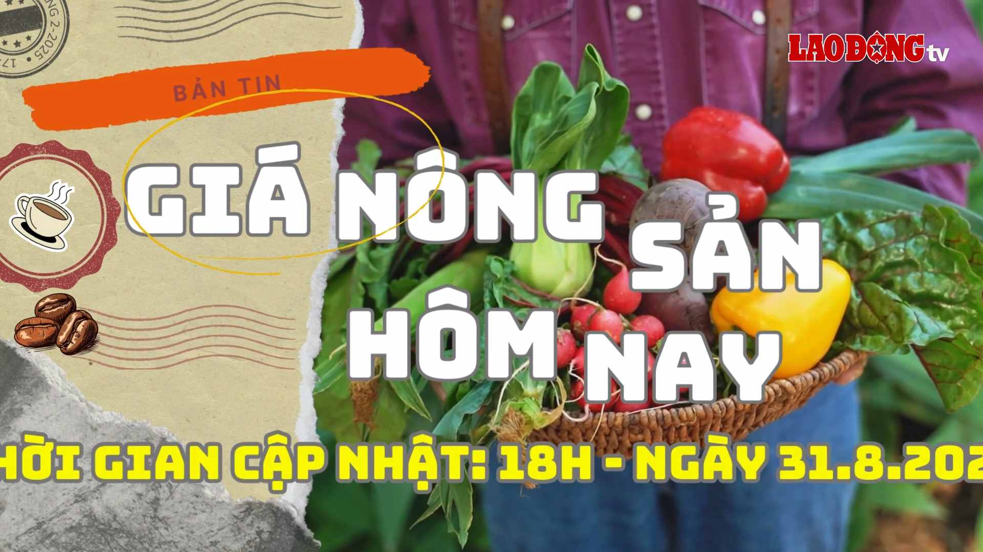 Giá nông sản hôm nay ngày 31.8.2024. Ảnh: Phan Tuấn