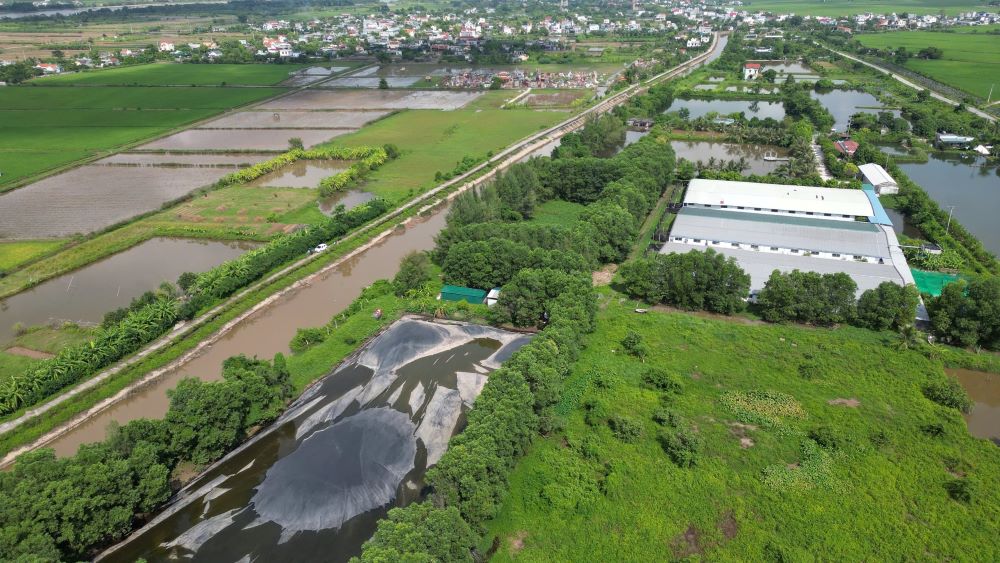 Trang trại nuôi lợn ở thôn 3, xã Vũ Hòa (huyện Kiến Xương, tỉnh Thái Bình) bị người dân phản đối vì cho rằng gây ô nhiễm môi trường nước, không khí. Ảnh: Nam Hồng