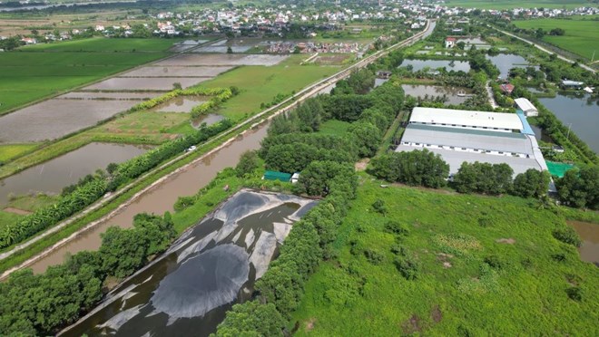 Thêm trang trại lợn ở Thái Bình bị dân phản đối vì ô nhiễm