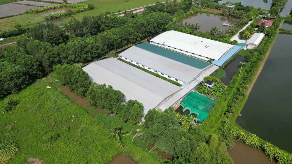 Từ trên cao, dễ thấy trang trại lợn này nằm quá gần bờ sông Cù Là, khó tránh khỏi việc phân, chất thải thẩm thấu ra sông. Ảnh: Nam Hồng