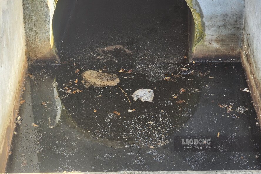 At the time of discovery, the wastewater was black, scum-filled and gave off a foul odor. Photo: To Cong.