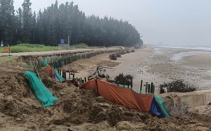 Đề xuất đầu tư hàng trăm tỉ đồng xử lý sạt lở bờ biển