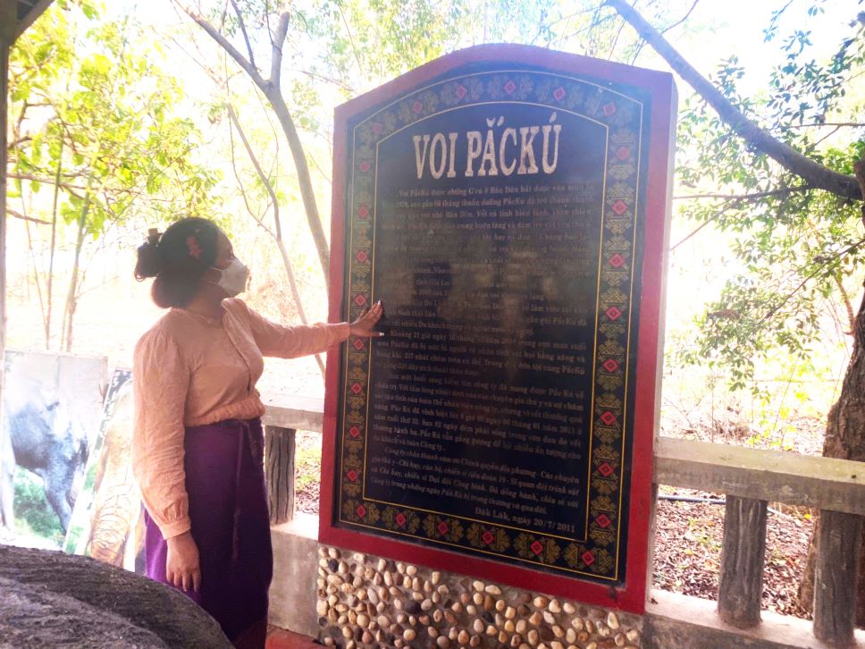 Biography of Pac Ku elephant. Photo: Thanh Quynh