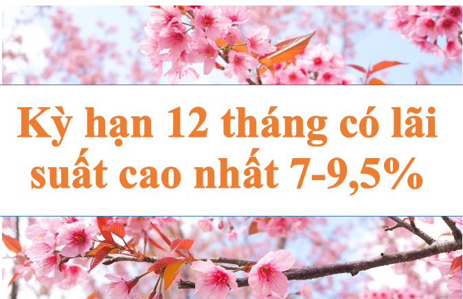 Kỳ hạn 12 tháng có lãi suất cao nhất 7-9,5%. Ảnh minh họa: Hà Vy