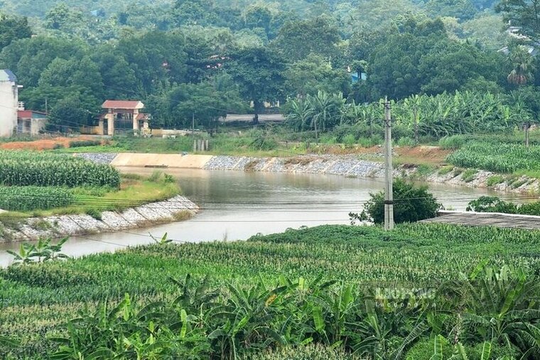 Đây là dự án đa mục tiêu với nhiệm vụ phòng chống thiên tai, lũ lụt, đảm bảo an sinh xã hội, chủ động tiêu úng cho 7.450ha đất tự nhiên, trong đó có 3.648ha đất nông nghiệp của hàng chục xã của huyện Cẩm Khê - địa phương được biết đến là nơi có đồng ruộng chiêm trũng (nhiều diện tích đất nông nghiệp bị ngập nước vào mùa mưa).