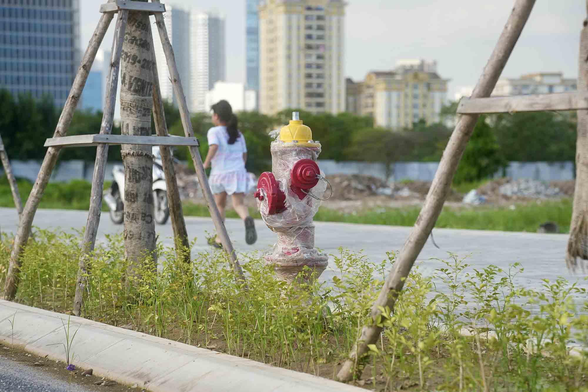 Fire hydrant, tree system, lighting,... have also been basically completed. Photo: Huu Chanh