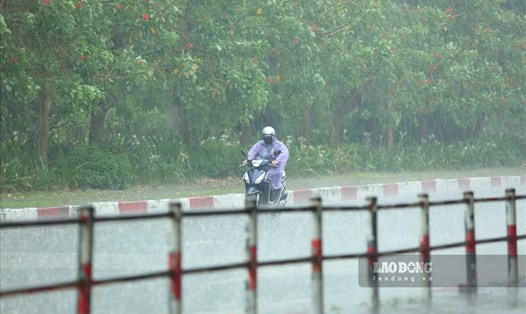 Dự báo thời tiết Hà Nội chiều tối có lúc mưa rào và dông. Ảnh: Tô Thế