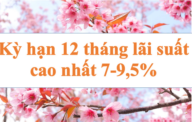 Kỳ hạn 12 tháng lãi suất cao nhất lên đến 7-9,5%. Ảnh minh họa: Hà Vy