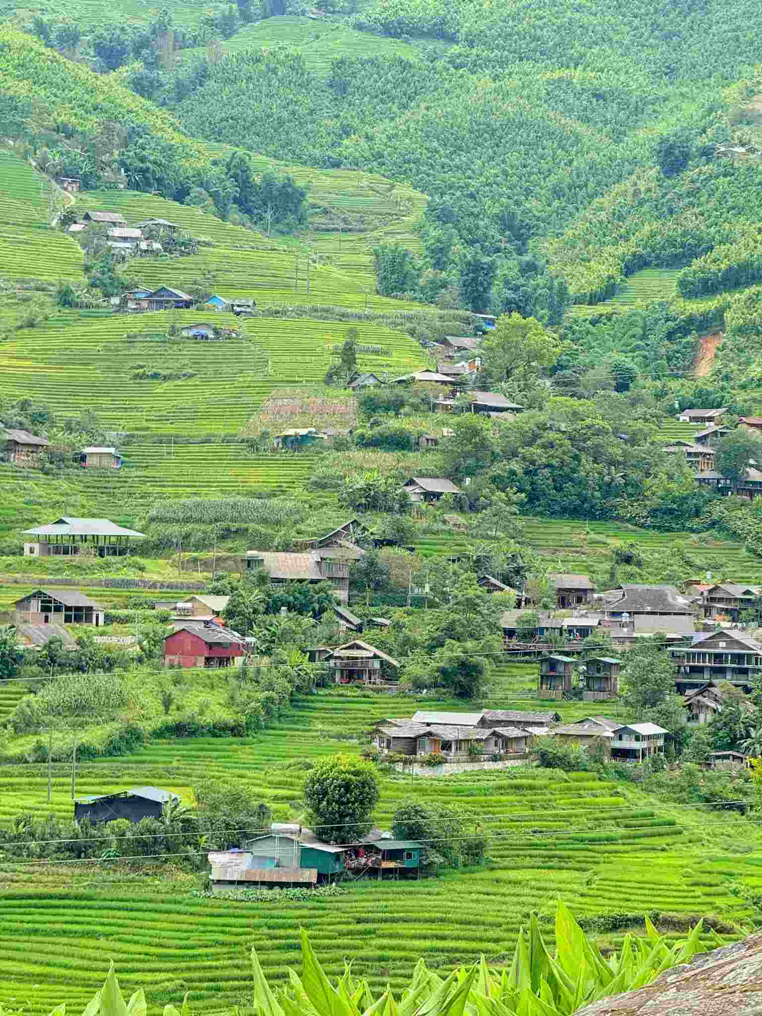 Home to the Mong, Giay and Red Dao ethnic groups, in addition to rolling hills and mountains reaching into the blue clouds, Ta Van also has a fairly large area of ​​terraced fields.