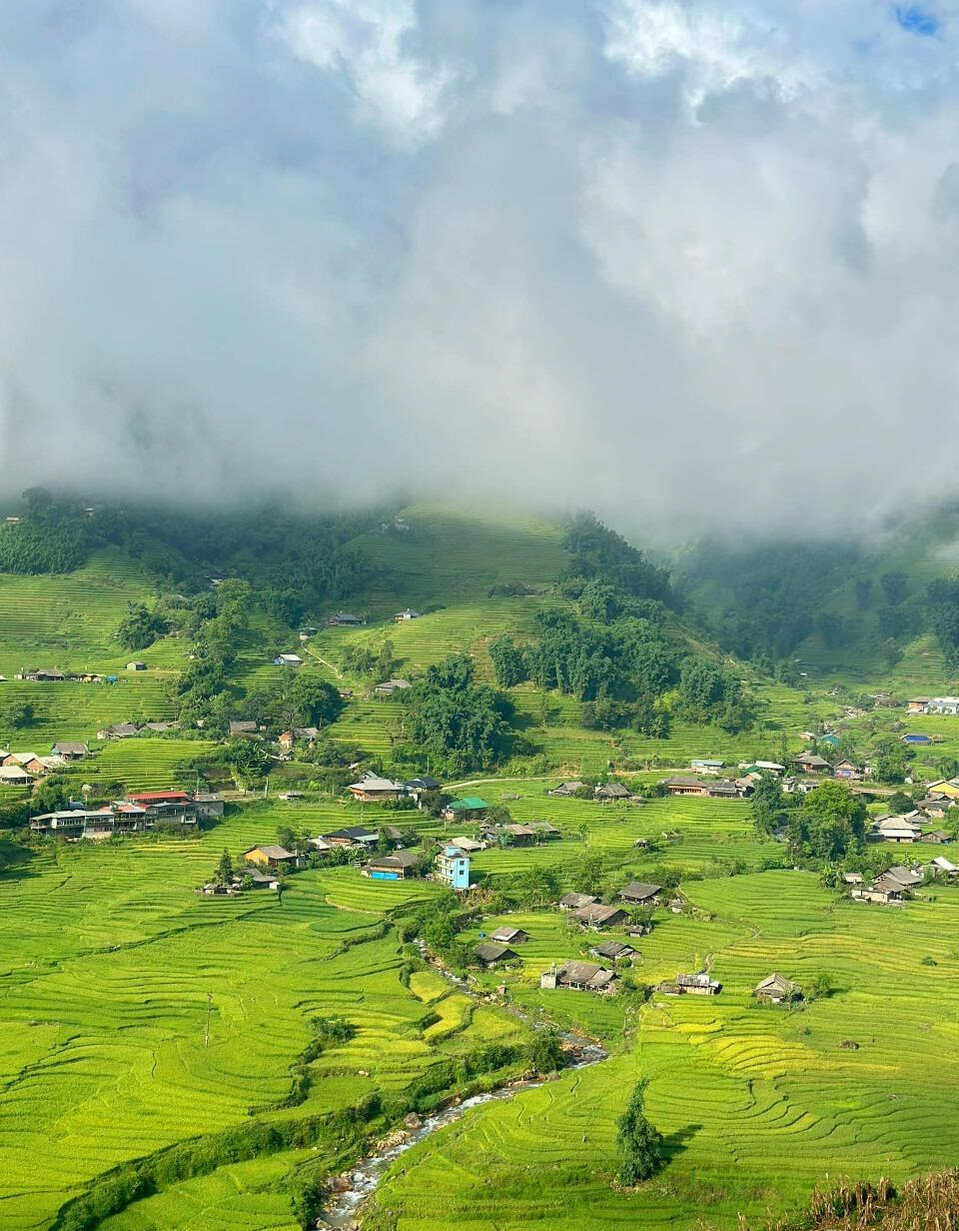 Every year during the rice season from July to September, Ta Van attracts many tourists to "heal" and find peace thanks to the picturesque fields.