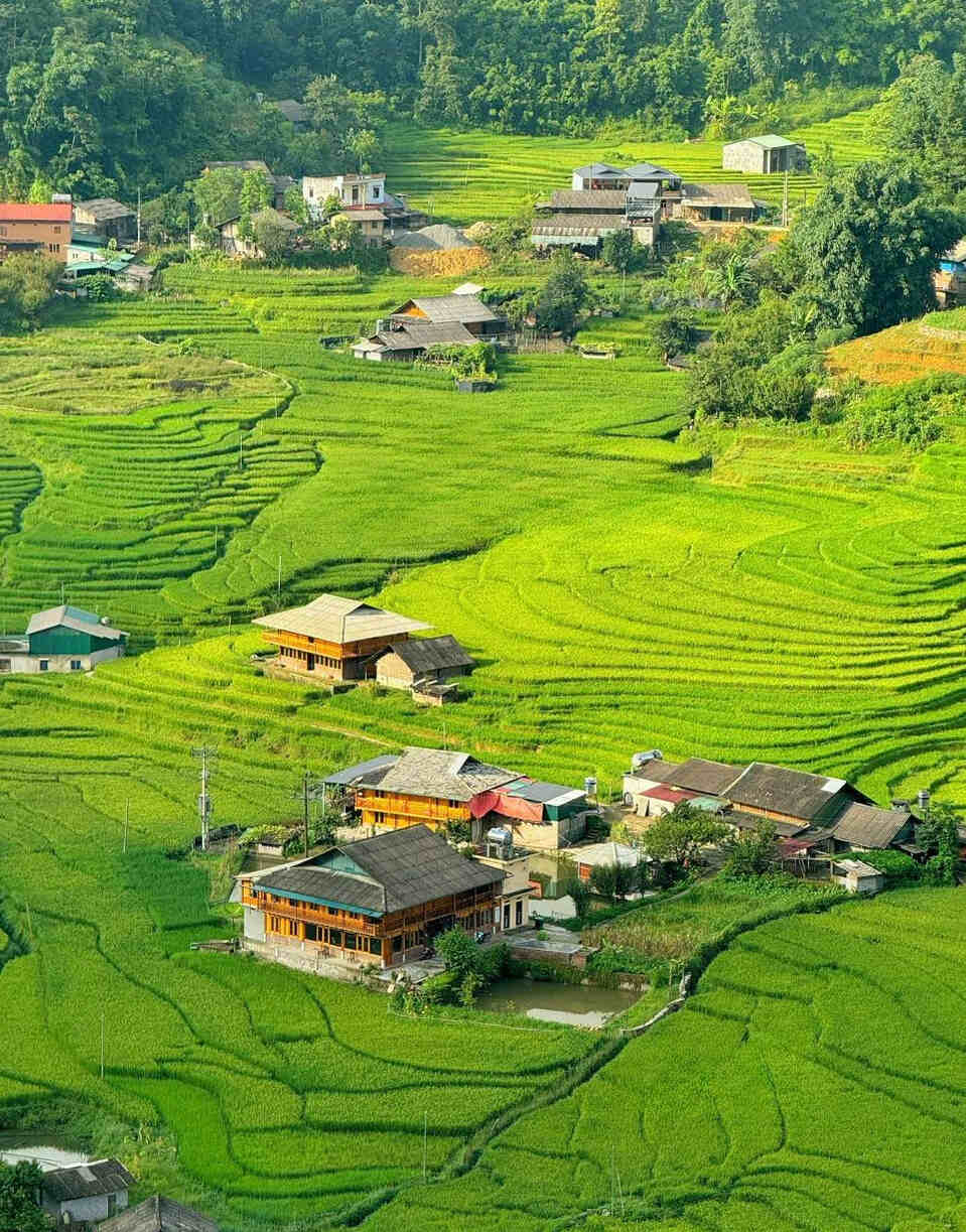 Ta Van is a commune in Sa Pa town, Lao Cai province. Not too noisy or crowded like Cat Cat village, Ta Van is loved by many tourists because it has not been industrialized, the air is fresh, peaceful, and the natural scenery is wild and majestic.