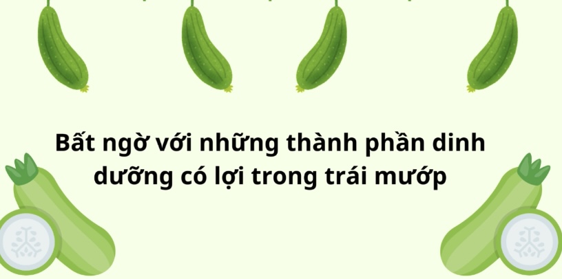 Mướp chứa nhiều thành phần dinh dưỡng có lợi cho sức khỏe và giúp giảm cân. Đồ hoạ: Hương Giang 