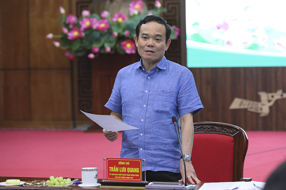 Deputy Prime Minister Tran Luu Quang concluded the meeting.