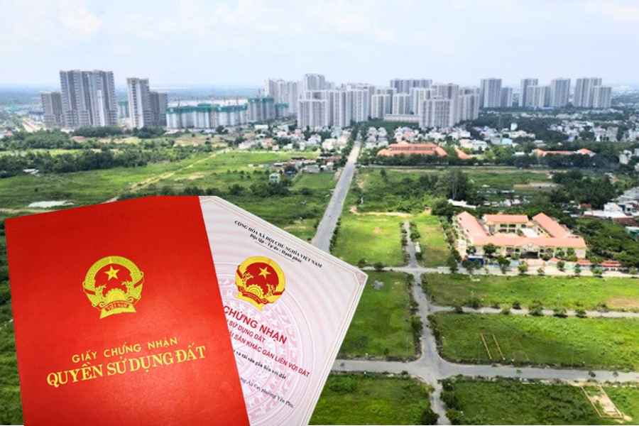 Quy định mới về đấu giá quyền sử dụng đất từ tháng 8.2024. Ảnh: Linh Trang