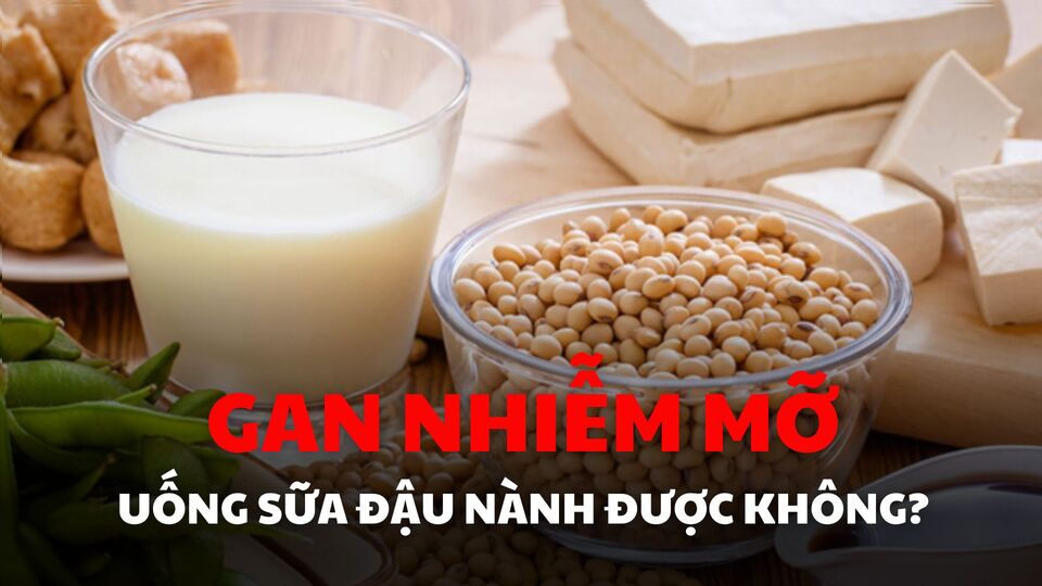 Đối với người bệnh gan nhiễm mỡ, uống sữa đậu nành với lượng thích hợp sẽ bổ sung dinh dưỡng, nâng cao khả năng miễn dịch. Đồ họa: Quỳnh Anh