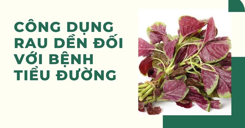 Công dụng của rau dền đối với người bệnh tiểu đường