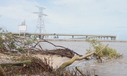 Vị trí đê biển Đông Bạc Liêu sạt lở, tỉnh Bạc Liêu chuẩn bị công bố tình huống khẩn cấp. Ảnh: Nhật Hồ