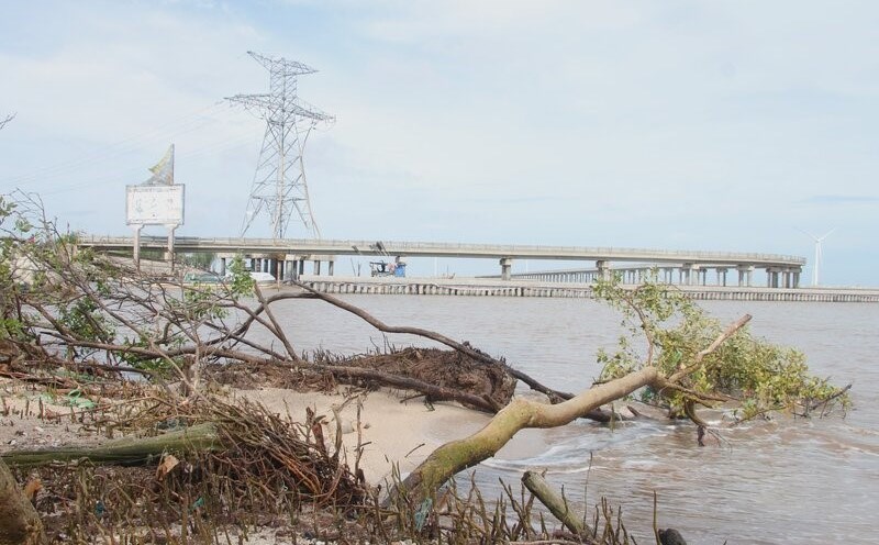Vị trí đê biển Đông Bạc Liêu sạt lở, tỉnh Bạc Liêu chuẩn bị công bố tình huống khẩn cấp. Ảnh: Nhật Hồ