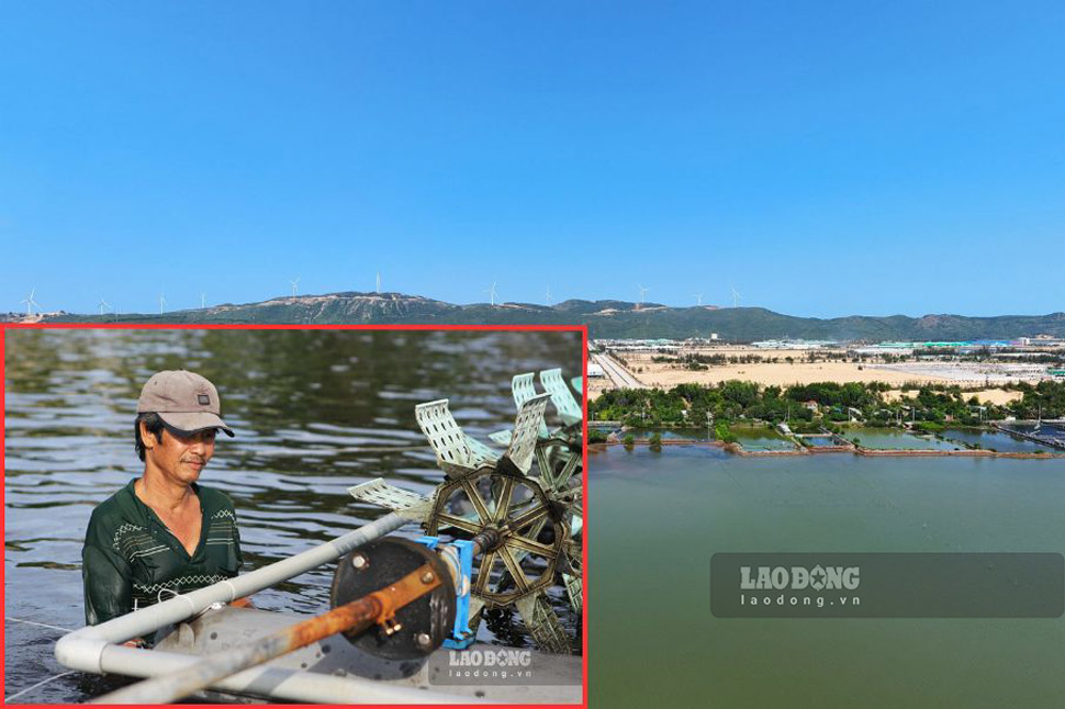 Các hộ dân bị ảnh hưởng bởi dự án Khu vui chơi giải trí đầm Thị Nại (TP Quy Nhơn, Bình Định) mong muốn được đền bù thỏa đáng. Ảnh: Hoài Luân