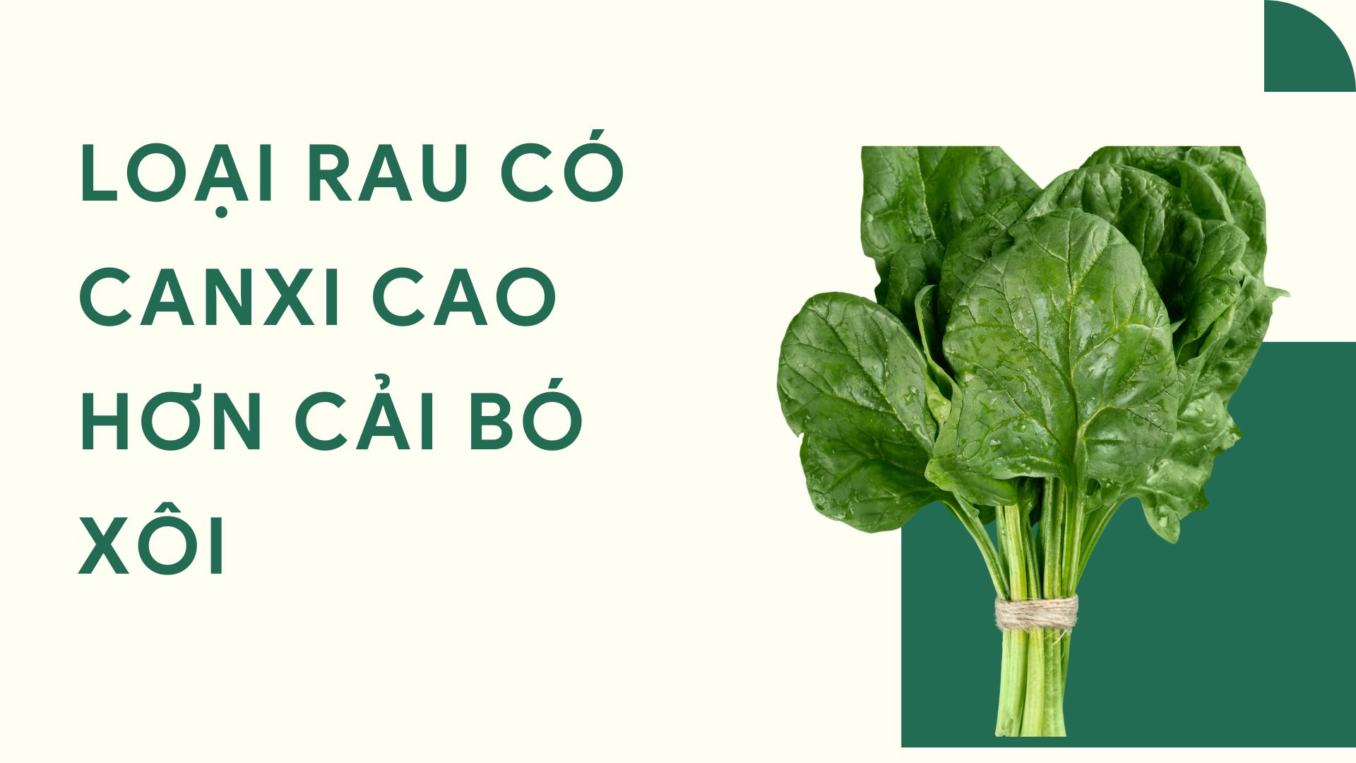 Những loại rau có lượng canxi vượt trội hơn cải bó xôi. Ảnh ghép: NGUYỄN LY
