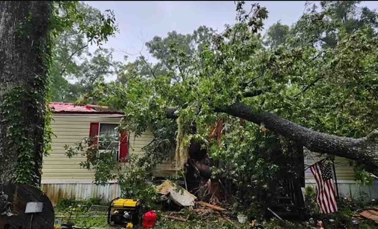 A tree fell into a house in Levy County, Florida, killing a 13-year-old boy. Photo: Levy County Police