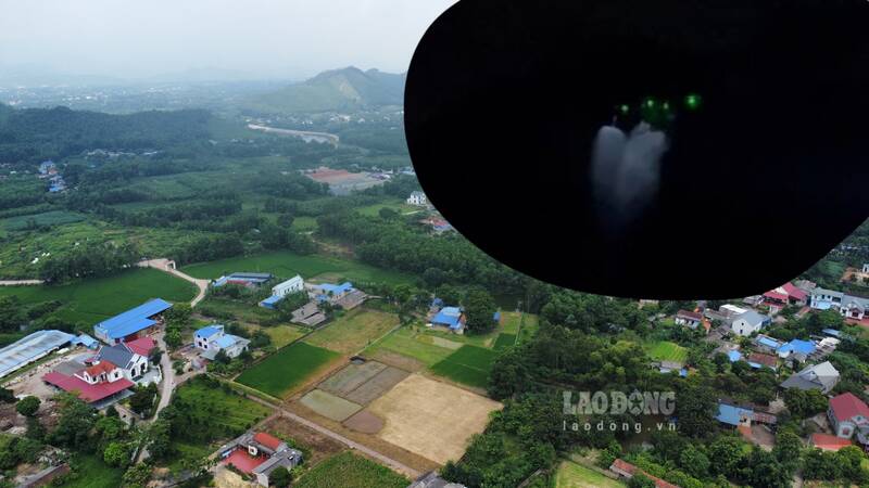 Ruộng người dân bị tàn phá do hóa chất. Ảnh: Lam Thanh