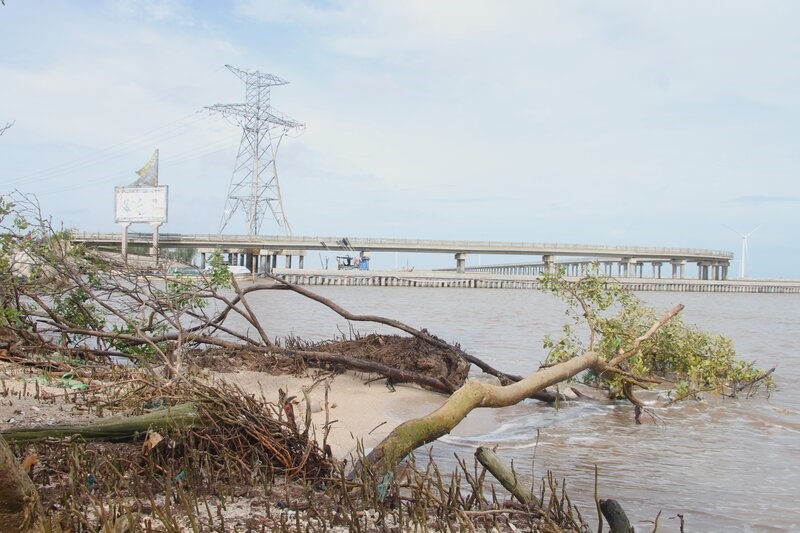 A section of the East Sea dyke in Bac Lieu province seriously eroded. Photo: Nhat Ho