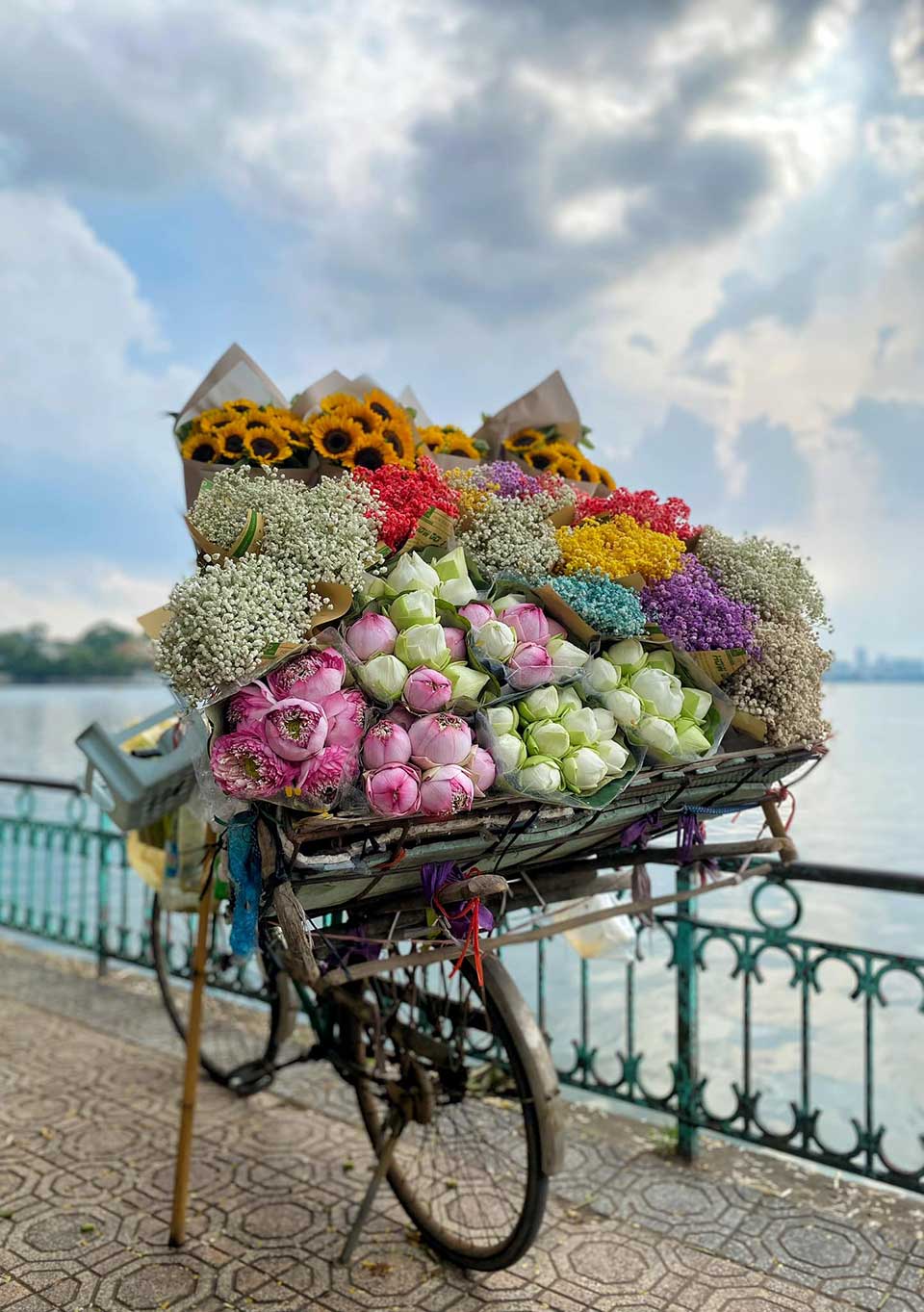 Một xe hoa chở mùa thu Hà Nội. Ảnh: Khương Minh