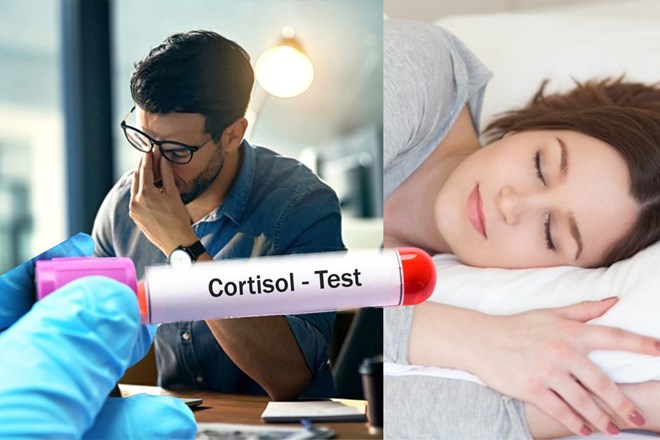 Cortisol được tiết ra bởi tuyến thượng thận, kết hợp với các cơ quan khác ở não bộ nhằm kiểm soát tâm trạng, động lực sống và nỗi sợ hãi của con người. Đồ họa: Phương Anh