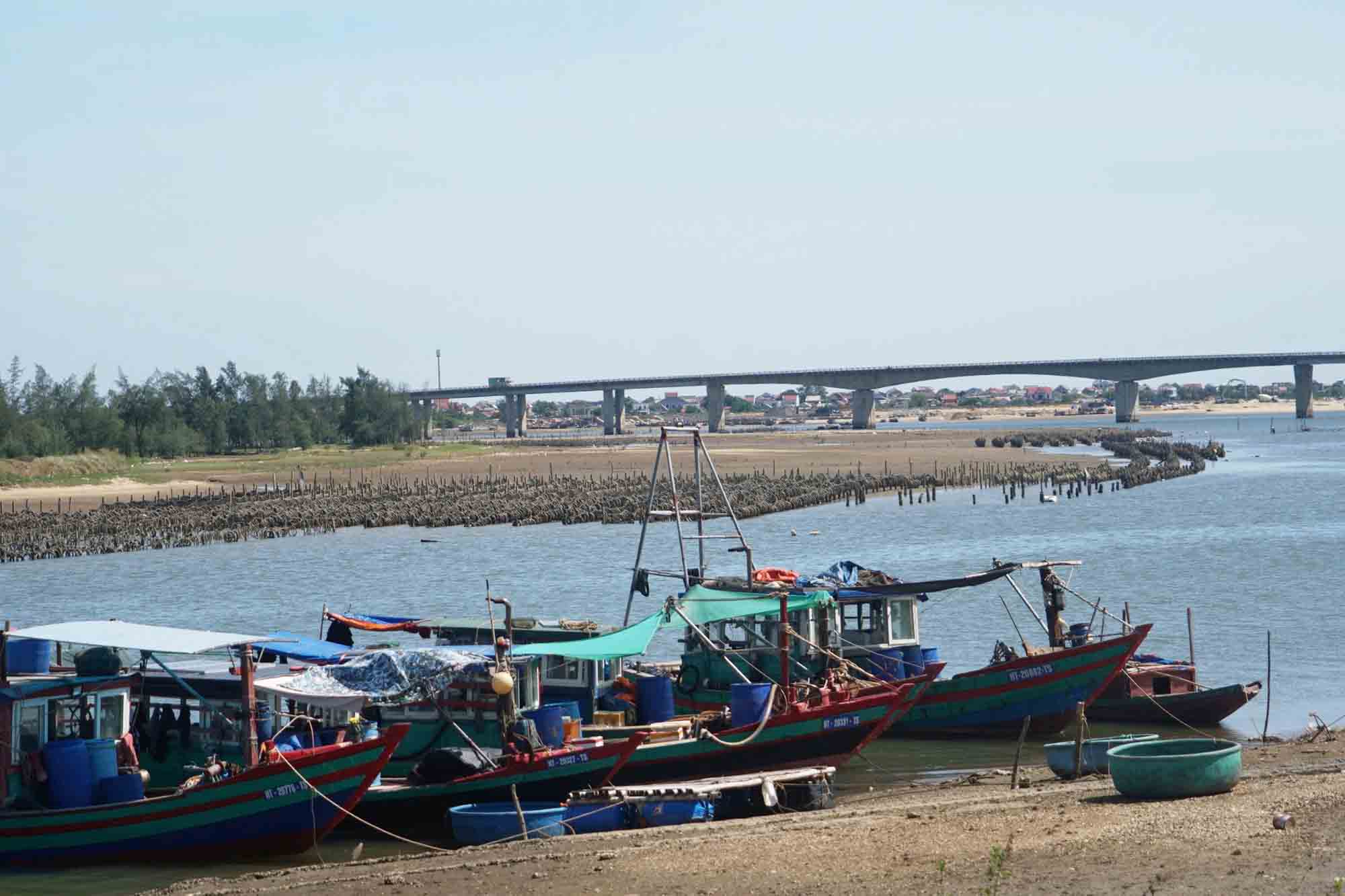 Chính quyền chưa quyết liệt trong xử lý việc cắm cọc làm bãi nuôi hàu trên sông Rác ở xã Cẩm Lĩnh. Ảnh: Trần Tuấn.