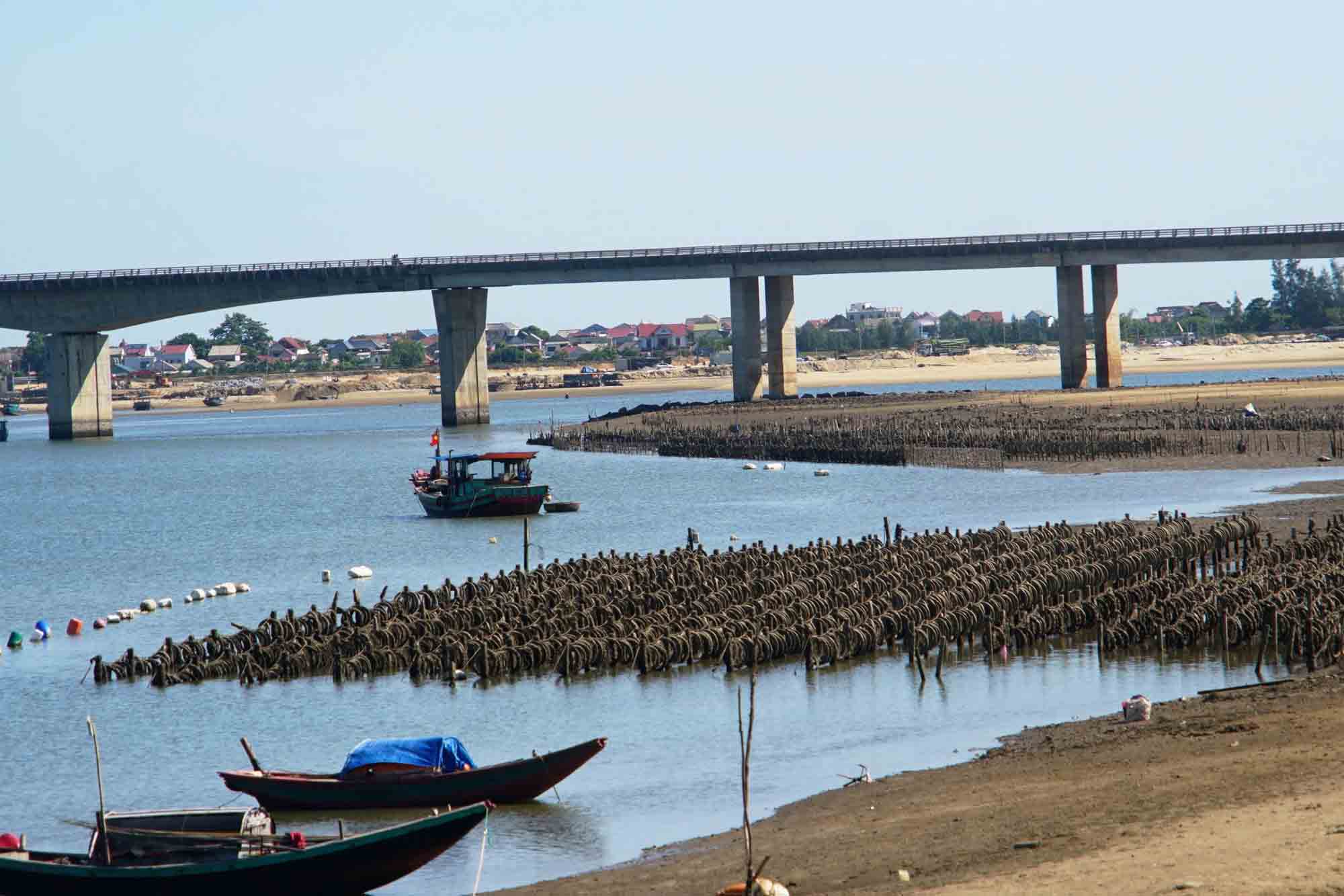 Bãi nuôi hàu thu hẹp lòng sông. Ảnh: Trần Tuấn.