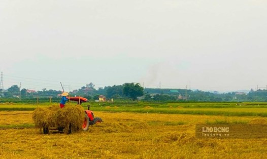 Bảng giá chuyển đổi đất nông nghiệp sang đất thổ cư năm 2024. Ảnh minh họa: Tuyết Lan