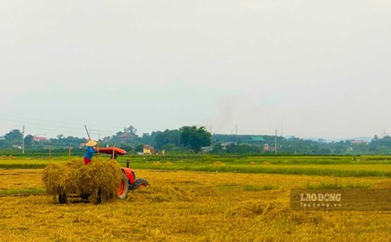 Bảng giá chuyển đổi đất nông nghiệp sang đất thổ cư năm 2024. Ảnh minh họa: Tuyết Lan