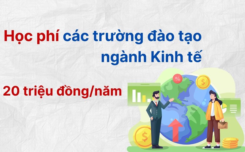 Nhiều trường đại học đào tạo nhóm ngành Kinh tế có mức học phí từ 20 triệu đồng/năm học. Đồ họa: Anh Đức