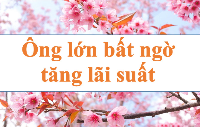 Thêm ông lớn ngân hàng tăng lãi suất. Ảnh minh họa: Hà Vy