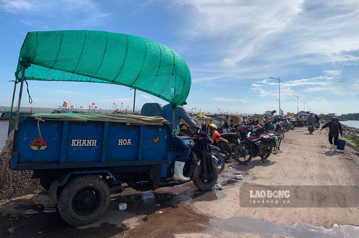 Reported by PV Lao Động in the afternoon of 7.8, at Giao Hải Fish Market (Giao Hải Commune, Giao Thủy District, Nam Định Province), vehicles were lined up for over a kilometer waiting for boats to return.