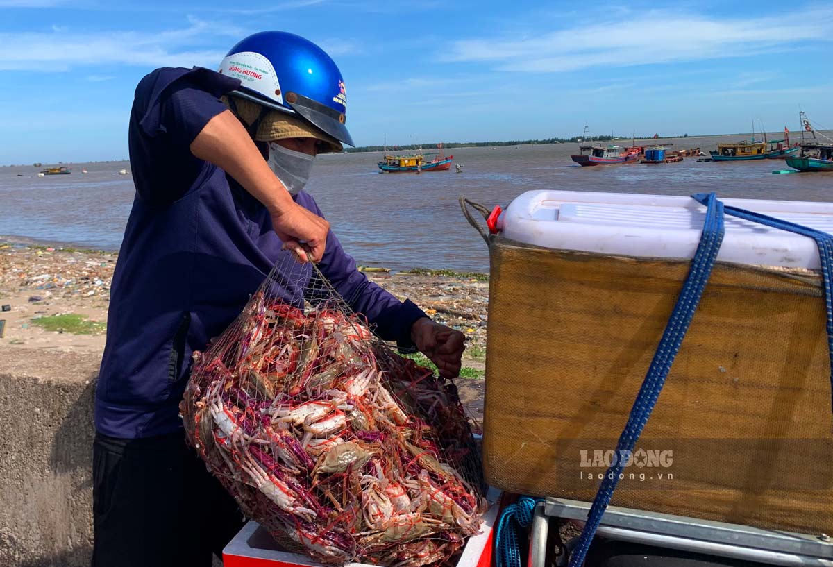 The scene of buying and selling at Giao Hải Fish Market is very fast, especially when the weather is hot, everyone wants to take advantage of the time to transport the seafood to the consumption place. Mrs. Nguyễn Thị Ngần (a trader in Nam Định City) said: “The market operates in two time slots a day, from 5h to 7h in the morning, and from 13h30 to 15h30 in the afternoon, I usually go to the market in the afternoon, as soon as 13h, I am at the wharf waiting for the boat to return. Having bought seafood here for many years, I am accustomed to buying and selling quickly to keep the seafood fresh. Depending on the tide, the prices will be different, at this fish market, buying in large quantities will be cheaper, some types of fish are only 20,000 - 35,000 VND/kg“.