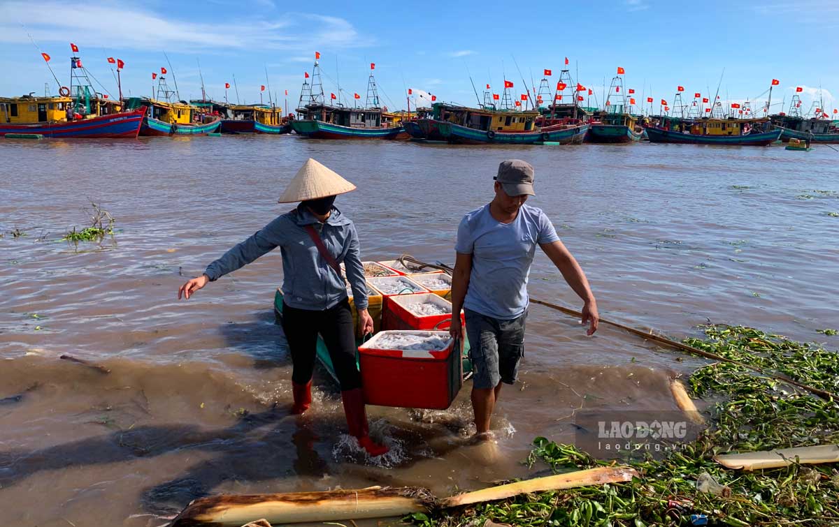 Những thùng xốp mực vừa tới mép nước, thương lái đã đợi sẵn để mua.