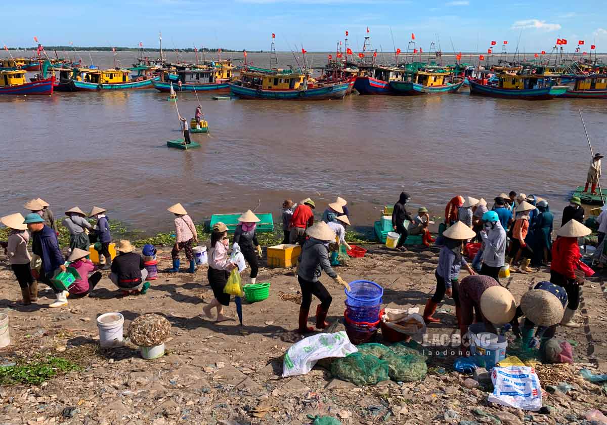 Phía dưới bến cá bên bờ biển, người dân đang chen nhau chọn mua những mẻ hải sản tươi sống vừa được đánh bắt về.